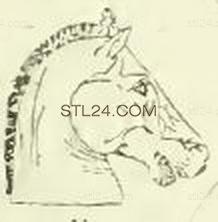 ANIMAL_0123